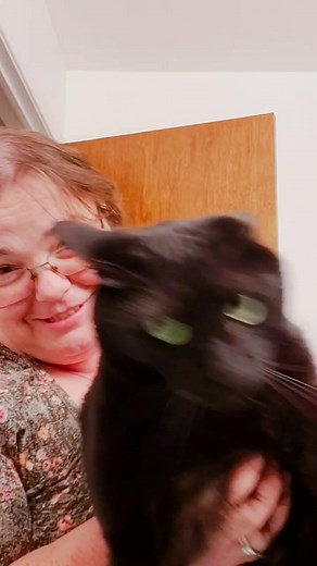 #blackcat #goodluck #demonspawn #angrykitty If I ☠ #blame the #ahole #cat #hesfine #bottlebaby #brat