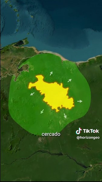 Por que existe uma savana no meio da Floresta Amazônica?