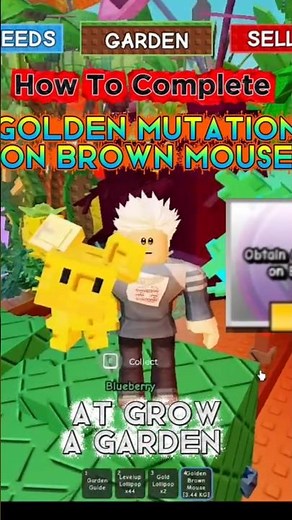 How To Complete Golden Mutation on Brown Mouse 🐀 at Grow a Garden Roblox