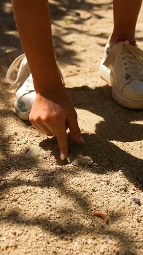 37K views · 68 reactions | This is Hiding in Your Backyard! | The King of Random | Facebook