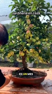 45K views · 409 reactions | ¿Te gustaría aprender a cuidar plantas...