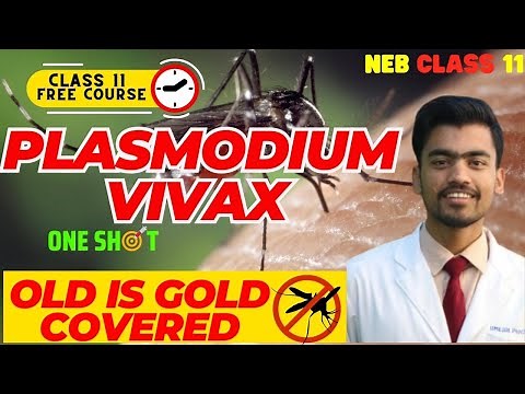 Plasmodium vivax Class 11 | Class 11 Biology NEB Nepali | Most Important Chapter Of Zoology 🚀