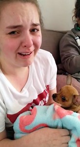 What she says at the end makes you re-think emotional support animals. 🐶💕 | Lights Camera Action