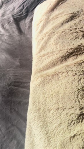 Biachi3 (@biachi3)’s videos with original sound - Biachi3