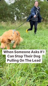 6.6K views · 13 reactions | From Pulling to Perfect  There are lots...