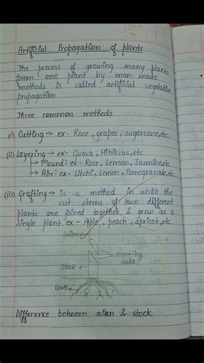 Class 10 Biology #Chapter 3 How do organisms reproduce notes # part 1# shorts#art