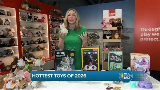 Toy trends for 2026