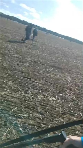 Quel plaisir ce Detectival ! Dans ce champ, nous avons de quoi faire, c’est un nid à trouvailles 🙂 Toujours au soleil ☀️ | Maison De La Detection