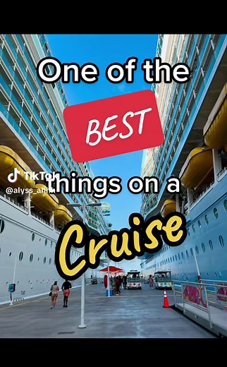 One of the BEST things on a cruise! #cruiseship #cruisetok #carnivalcruise #carnivalcruiseline #royalcaribbean #independenceoftheseas #carnivalhorizon #cruising #cruiseshiplife #cruise #towelanimals #cruisetips