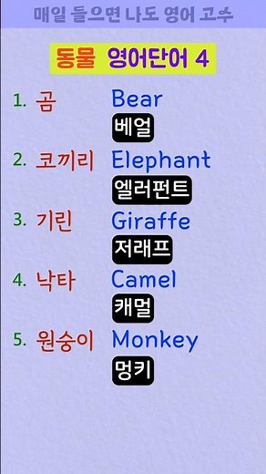 곰, 코끼리, 시린, 낙타, 원숭이 동물 단어 5개를 영어로 외워보세요~!