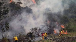 Peru's Machu Picchu ruins threatened by forest fires | The National