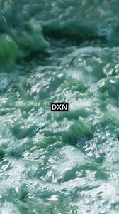 1.6K views · 40 reactions | DXN Spirulina is a type of blue-green...