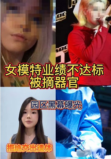 缅甸园区模特悲剧：梦想与现实的碰撞