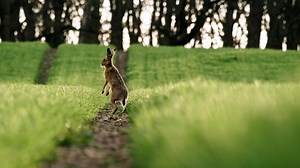 8.7K views · 261 reactions | Die Jägerschaft hat oft einen schlechten Ruf. Doch meist zu Unrecht. Der Thüringer Jagdverband ist sogar ein anerkannter Naturschutzverband. In Jena findet derzeit die Fachtagung für Jagd und Artenschutz statt. | MDR Thüringen | Facebook