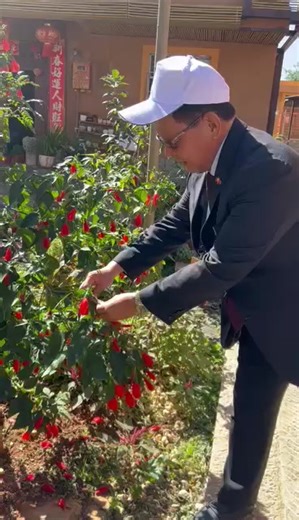 9.9K views · 115 reactions | SWEET GUMAMELA! Hibiscus Rosa-Sinensis or locally known in the Philippines as Gumamela is a medicinal plant that enhances hair growth, a purgative, regulates menstruation, etc. The flower of this particular specie is sweet! Try it! | RAUL LAMBINO | Facebook