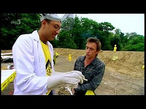 Brainiacs alkali metals