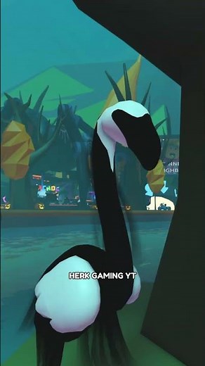 🦩🖤 slimingo 🎃