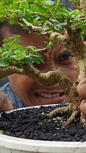 Okay, let's go 💪💪 #fblifestyle | Karimun Java