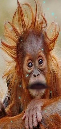 crée de nouveau compte et abonnés vous avec