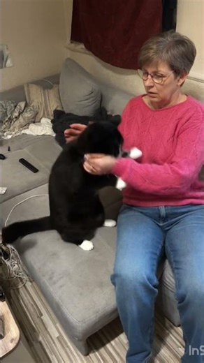 Gets ATTACKED My Aunt Every Single Time! 😂 100K Ultimate Funny Compilation