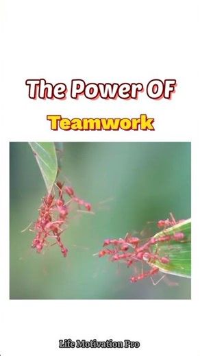 The Power of Teamwork💪#motivation #shorts #teamwork