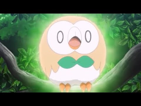 Rowlet's Cute Moments 2