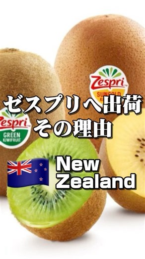 # #農業 #世界を旅する農家 #ニュージーランド #海外農業 #キウイフルーツ