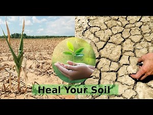 [ENG] How to fight soil salinity, how to repair the soil and prevent hydrological drought #garden