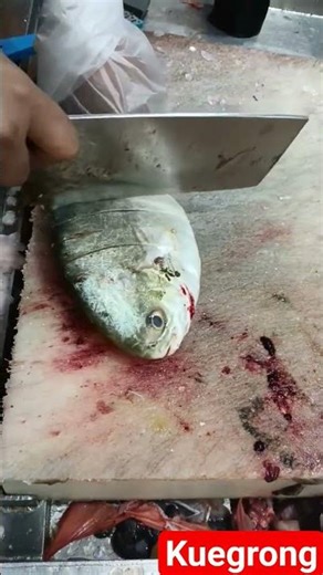ikan laut #cover #fish #fillet