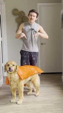 how to use the Ultralight Dog Quilt