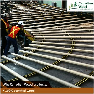 Lumber made from British Columbia (B.C.) wood species is produced for either structural or appearance market. It's exclusive features makes it an ideal choice for industry experts who wish to craft designs that are innovative, sustainable and unique! | Canadian Wood | Facebook