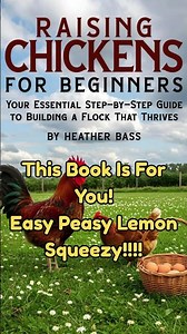 Start Your Chicken Journey 🐔 | Beginner Tips for a Happy, Healthy Flock #homestead #chickens