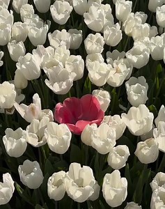 It’s you. | Aes Lyrics