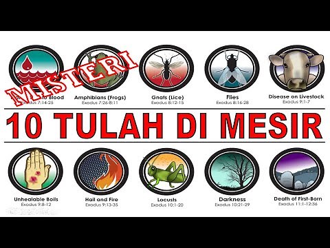 10 PLAGUES OF EGYPT