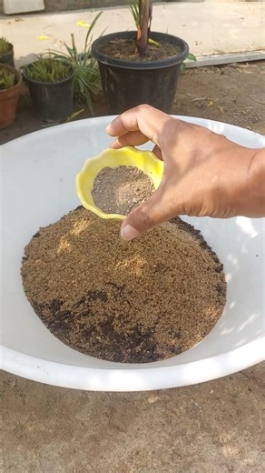 Homemade Soil Mix Recipe for Plants