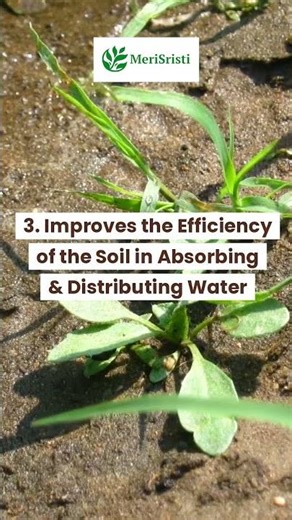 6 pros of organic fertilizer
