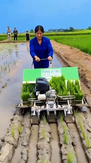154K views · 985 reactions | Mesin penanam padi (Rice Transplanter)  | X-Vans | Facebook
