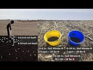 Need for Soil Test Nitrogen in Yield Goal Fertilizer Rate Calculations