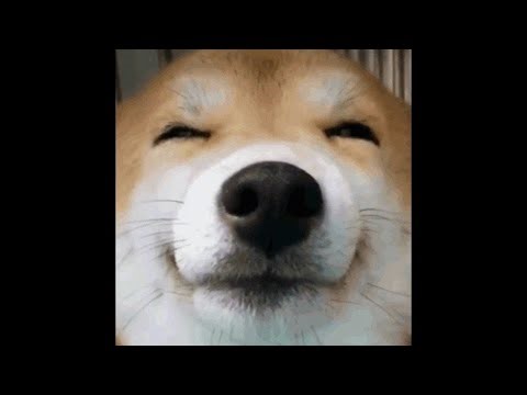 マイクラHIVEとにかくレベル上げ#マイクラ