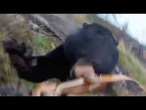 Hunter Survives Terrifying Bear Attack