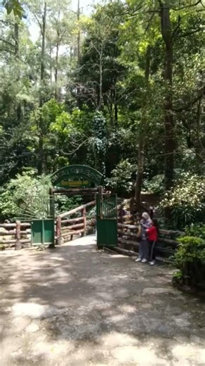 Jembatan Relief 3d Motif Kayu Minimalis #yantorelief #relief3d