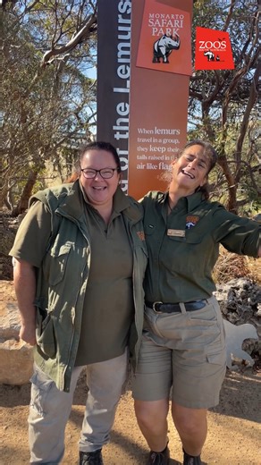 This National Volunteer Week, we say a massive THANK YOU to over 470 passionate volunteers who generously contribute their time to both Adelaide Zoo and Monarto Safari Park 🦘🦏 Our volunteer teams offer incredible support in many different ways, from guides, to food prep, to BEEZA, Mallee Minders, Zoo Watch, and more! All of these roles help to enrich the visitor experience, support animal welfare and improve conservation outcomes - in other words, they’re essential to helping us do what we do.