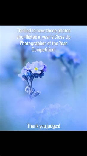 72 reactions · 14 comments | Wow, such a privilege to be amongst the best close up and macro photographers in the world! Just amazing, thank you so much CUPOTY! If you haven't seen the shortlist yet, check it out, some mind-blowing stuff! #cupoty #macro #flowerphotography | Molly Hollman Photography | Facebook