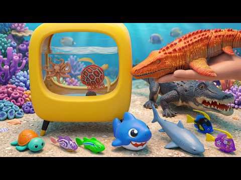 [🐠Toy asmr🐠] Baby Shark & Zuru Robo Fish & Aquarium Playset & RC Shark ASMR Satisfying with Unboxing