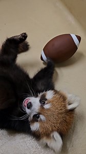 393K views · 19K reactions |  "You know I love the players... and...