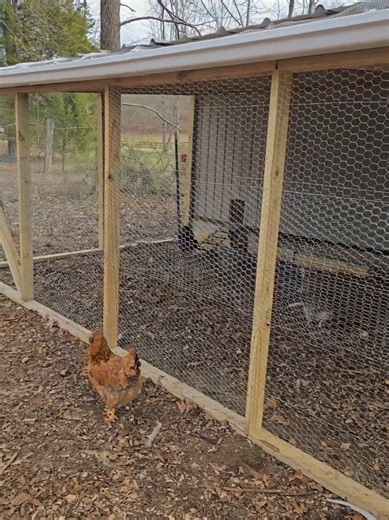 Starting Over: Embracing Farm Life After 40