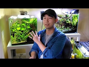 NO MORE WATER CHANGES | 22 Month Update Fluval Edge