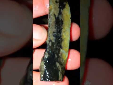 Perfect✅sold🙏 banten 3kg price 150 only wa 085779408746/11