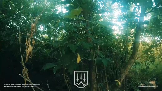 乌克兰国民卫队第15旅“卡拉达格”的战士清除哈尔科夫地区森林中的敌方阵地。结果，占领者被消灭，一名受伤的警卫被疏散。