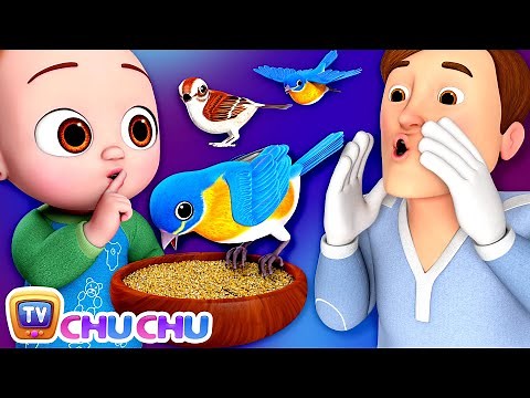 Helping Daddy Song with Baby Taku - ChuChu TV Baby Nursery Rhymes and Kids Songs #BabyTaku